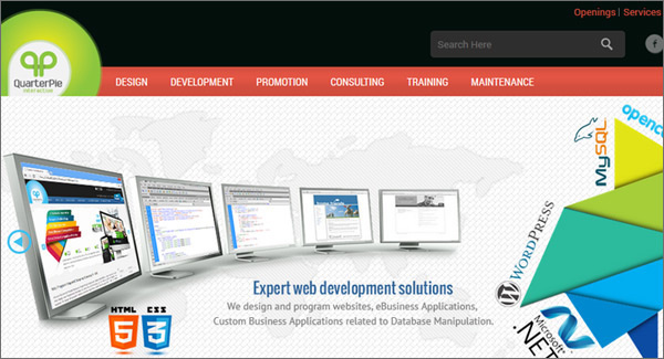 web design development company