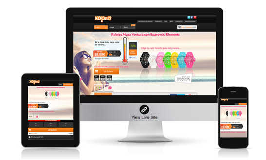 Responsive Website Design