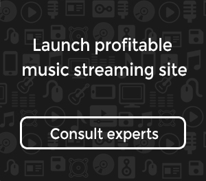 music streaming website features