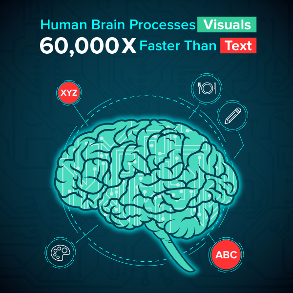 brain-processes-visuals-faster