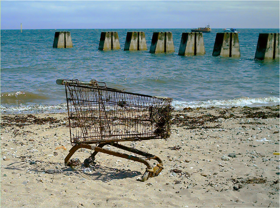 Recover abandoned carts