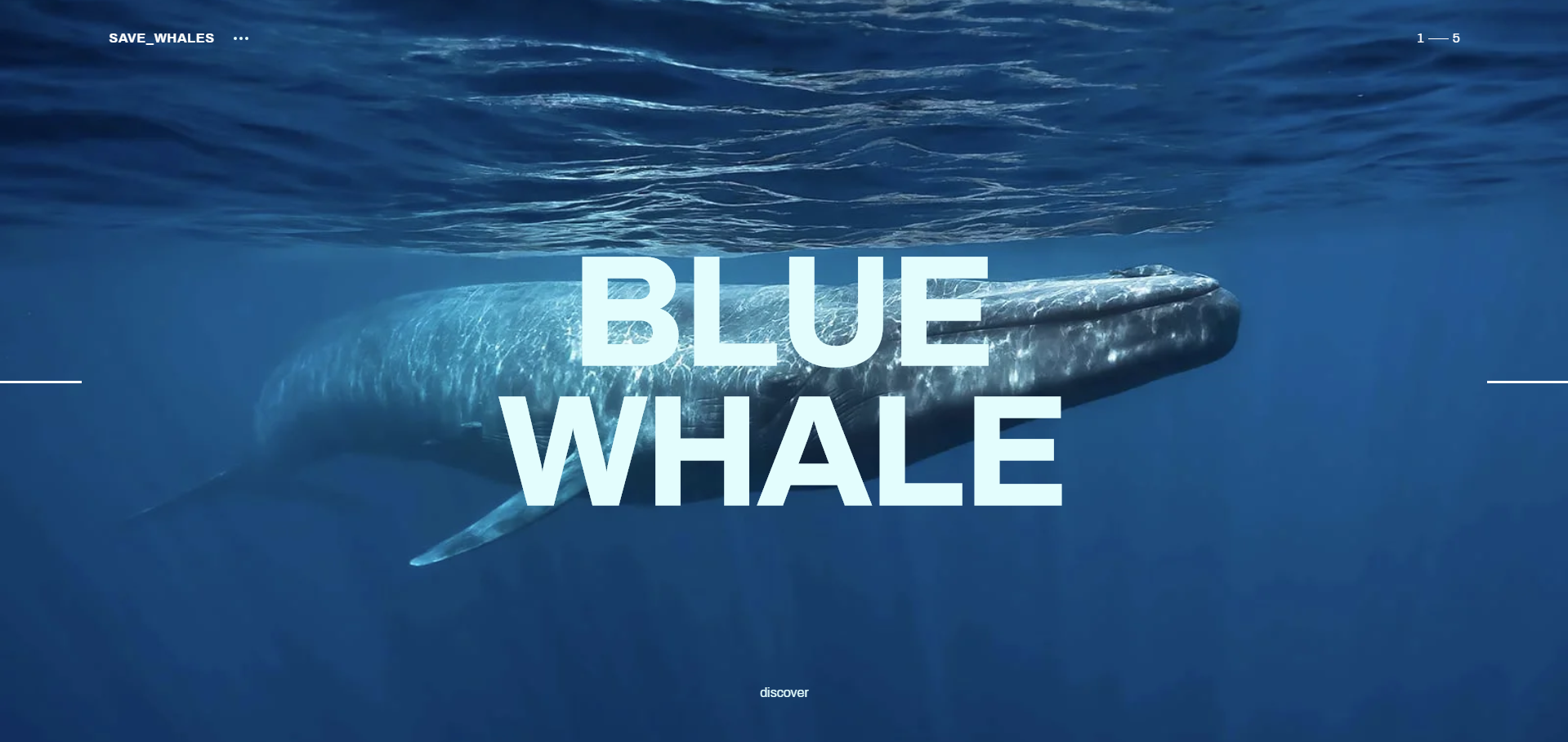 Bluewhale