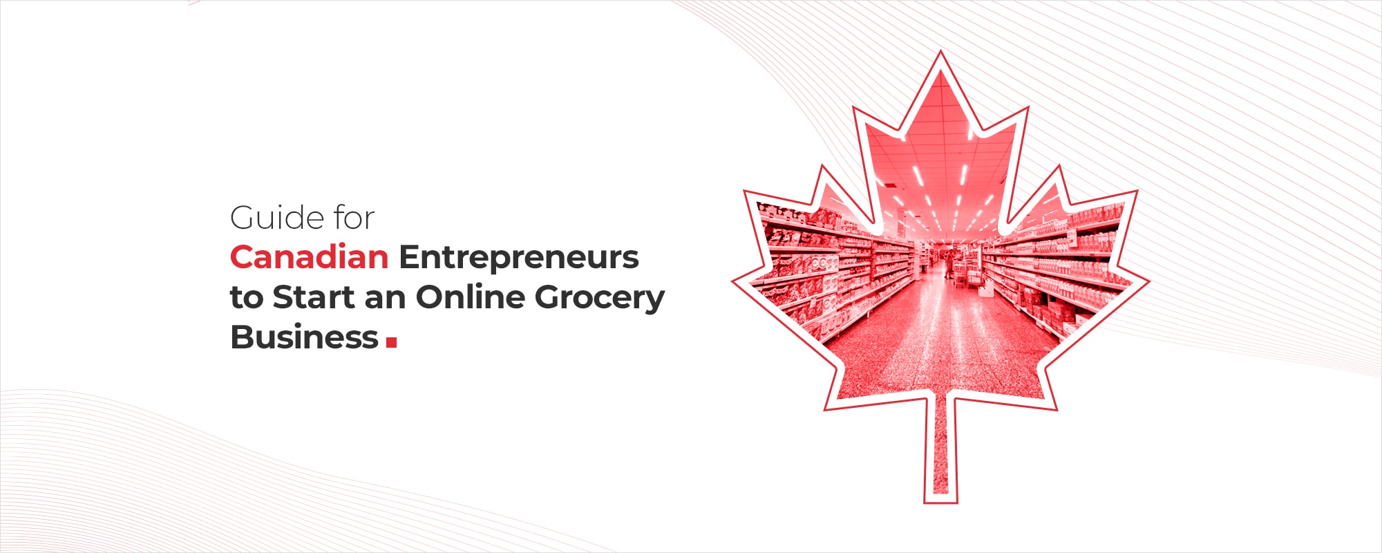 A Guide For Canadian Entrepreneurs To Start An Online Grocery Business