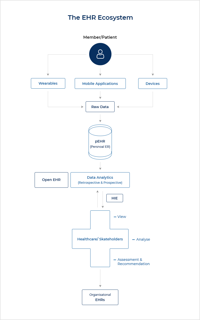 2. EHR Echosystem
