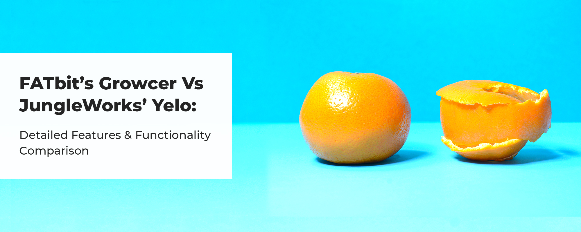 FATbit’s Growcer vs JungleWorks’ Yelo: Which one is the best for building a Grocery Marketplace?