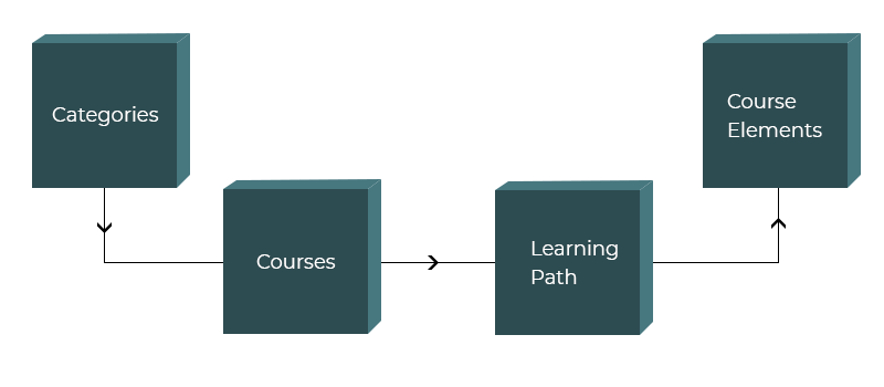 content organization path