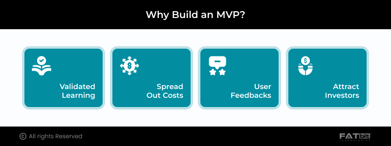 Why Build an MVP