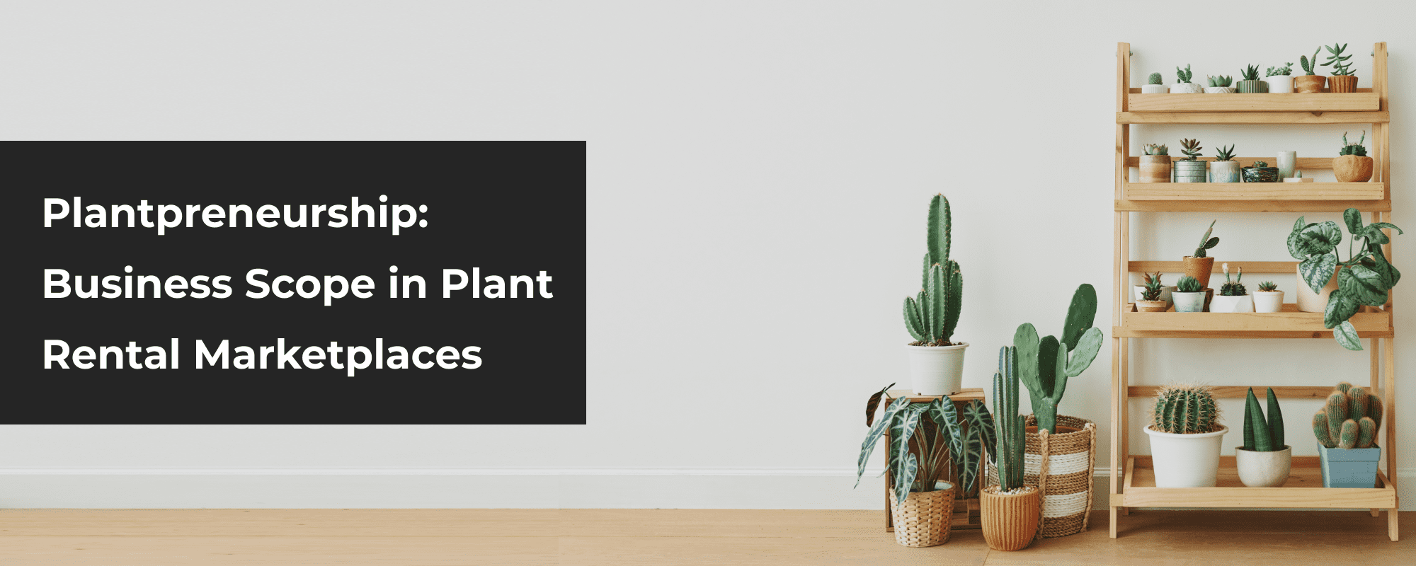 Build an Online Plant Rental Marketplace: Business Scope, Target Market and Use Cases