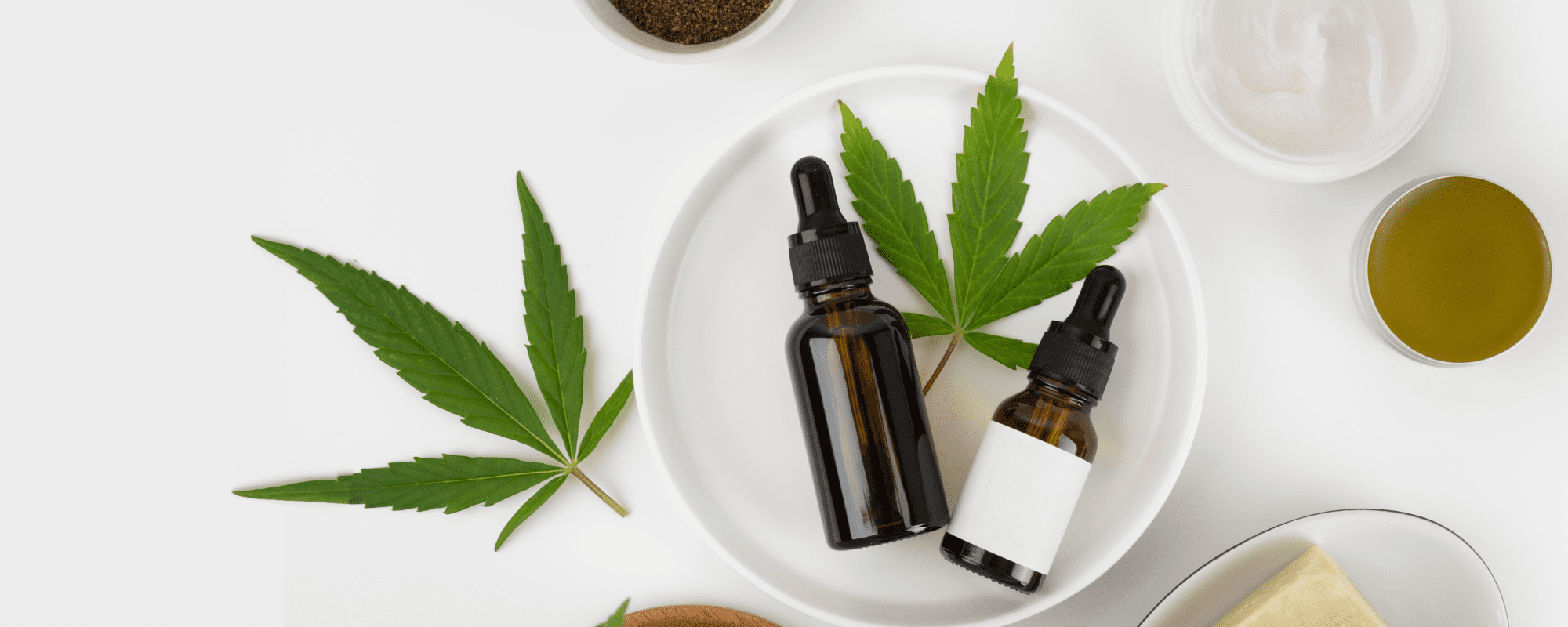 BuyCBDSupps – Inspiring Journey of a US CBD eCommerce Startup