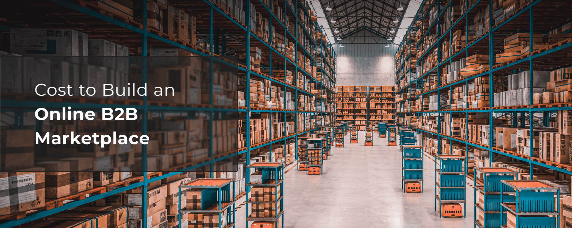 How Much Does it Cost to Build a B2B Marketplace Website?