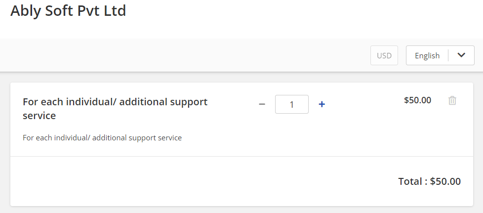 api payment support