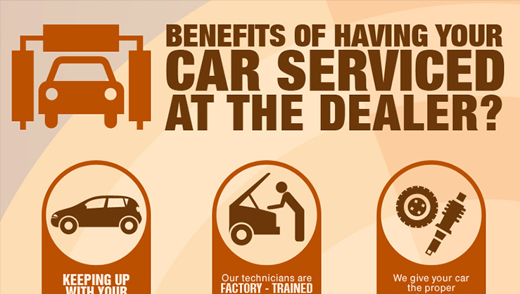 Car Service Dealer- Infographic
