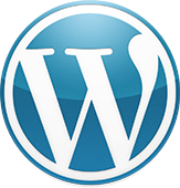 wordpress CMS