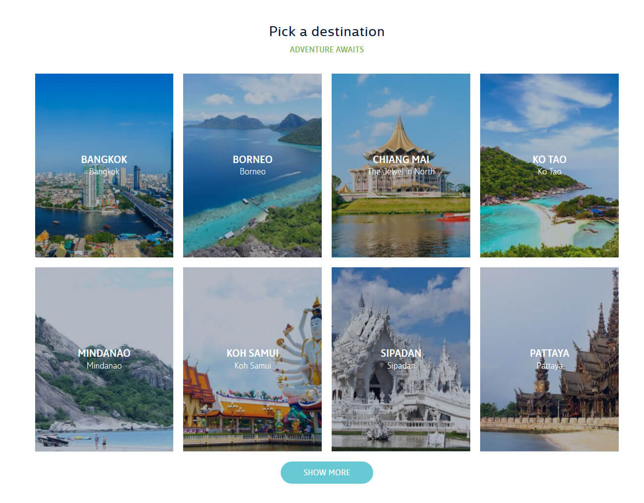 Travel Activity Booking Website Development