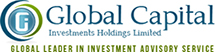 Global Capital Investments Corporate Website Design